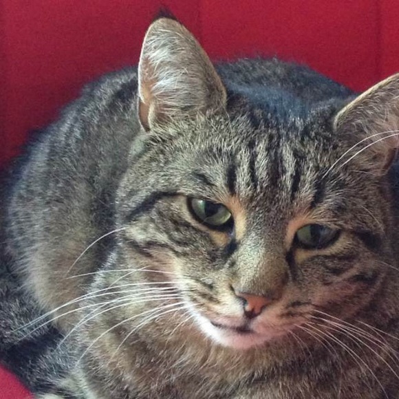 Meet your Posher, Elena - Picture 1 of 1